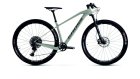 MTB